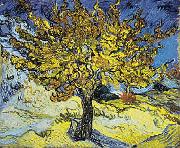 Vincent Van Gogh Mulberry Tree china oil painting artist